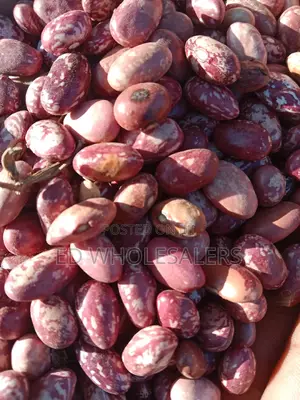 New Saitoti Beans Available for Sale