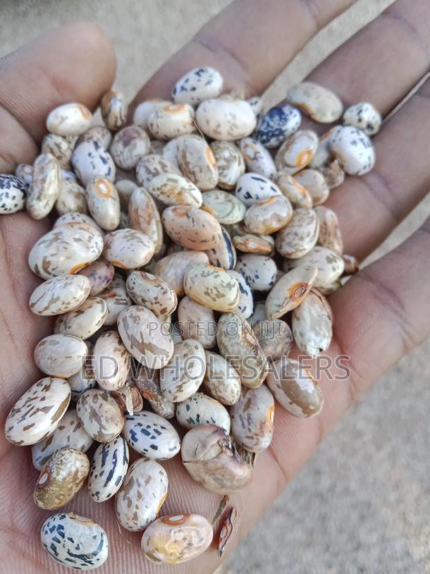 Dry Sura Mbaya Available in Bulk Per Kilogram - thumbnail 4