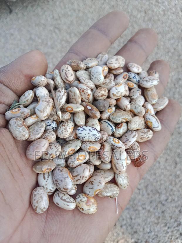 Dry Sura Mbaya Available in Bulk Per Kilogram - thumbnail 2