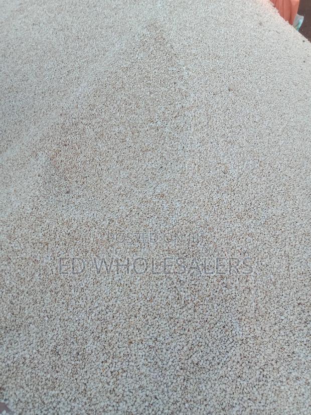 Dry Sura Mbaya Available in Bulk Per Kilogram - thumbnail 5