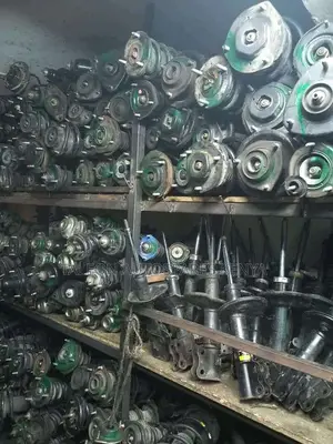 Complete Shocks for Toyota Corolla, Wish,Axio