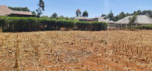 Full 1⁄4 Plot for Sale in Kipkenyo Rivertex Toad in Eldoret - thumbnail 2