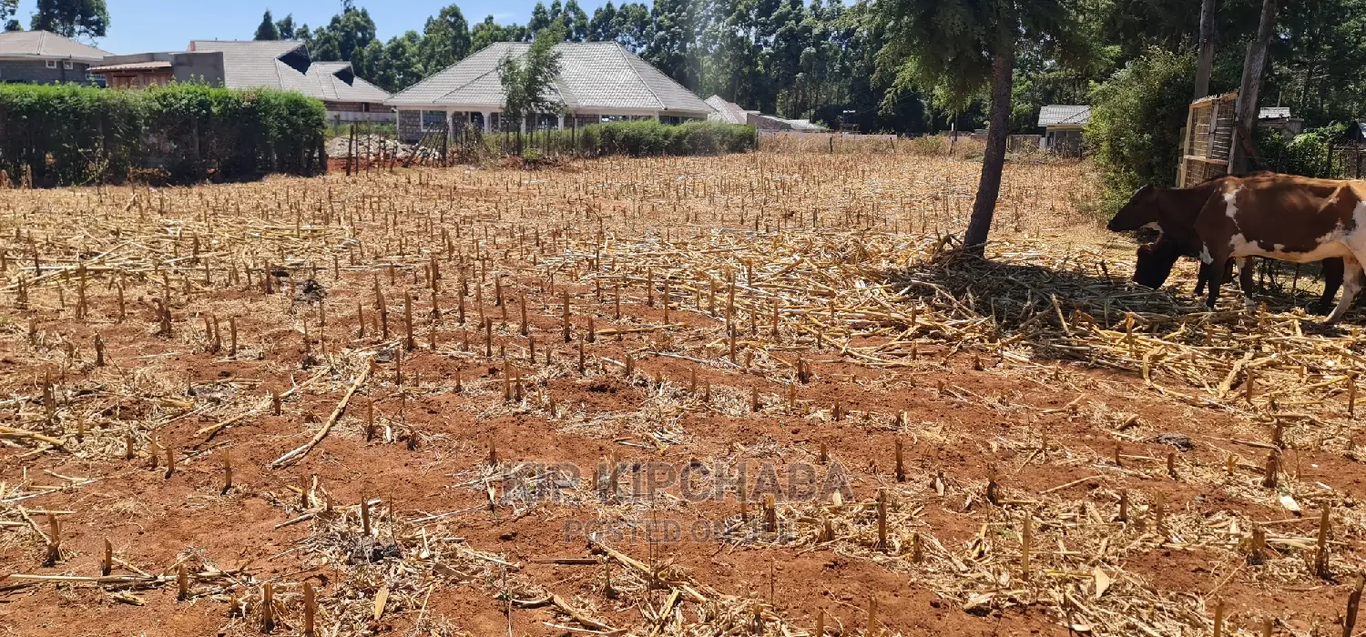 Full 1⁄4 Plot for Sale in Kipkenyo Rivertex Toad in Eldoret