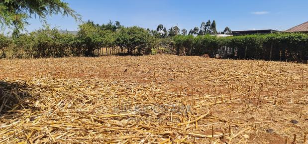 Full 1⁄4 Plot for Sale in Kipkenyo Rivertex Toad in Eldoret - thumbnail 5