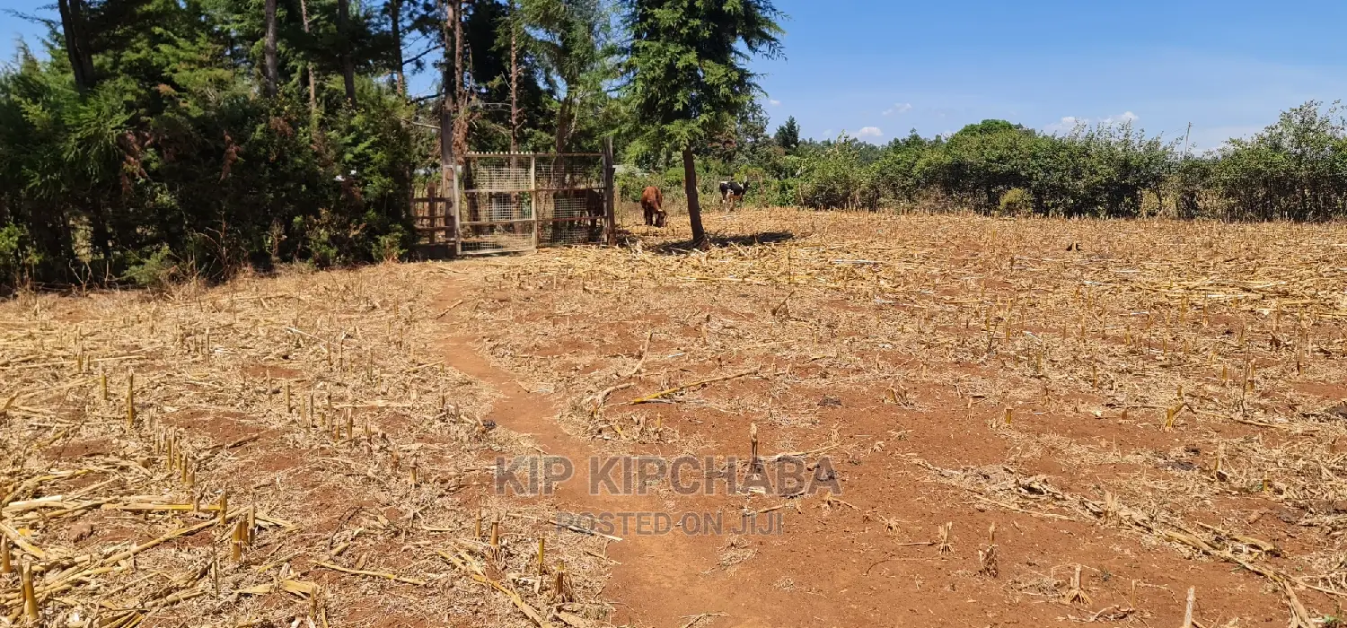 Full 1⁄4 Plot for Sale in Kipkenyo Rivertex Toad in Eldoret