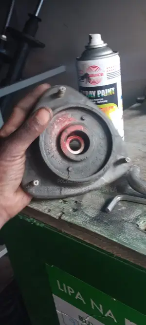 Shock Mounts