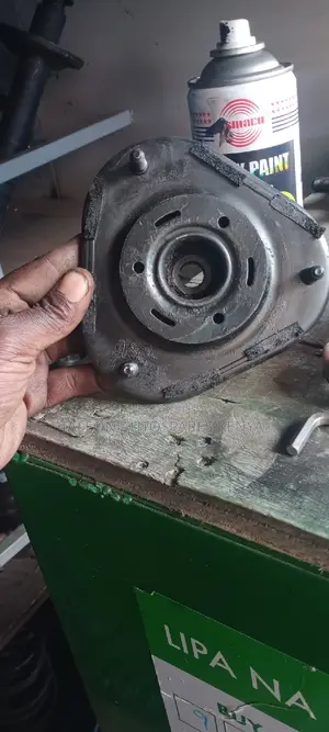 Shock Mounts