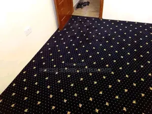 Wall to Wall Carpet Available