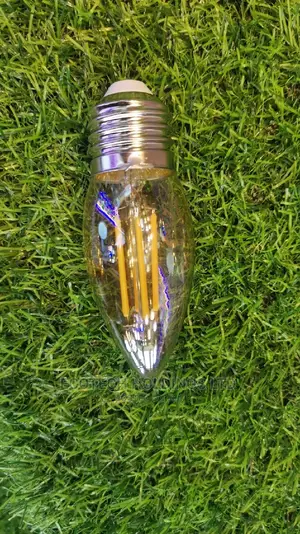 4wts Filament Bulbs