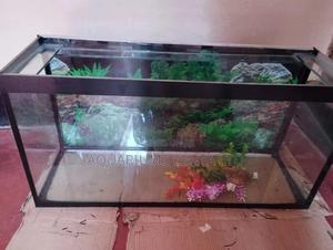 Fish Tank, Aquarium Fish Tank - thumbnail 2