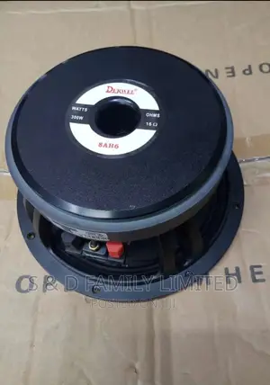 Derwel 8 Inch Naked Speaker