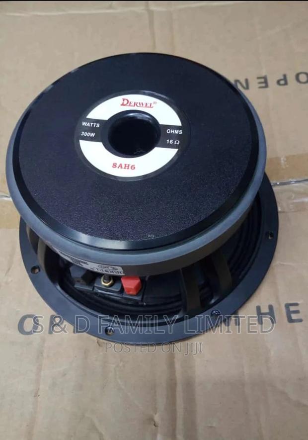 Derwel 8 Inch Naked Speaker