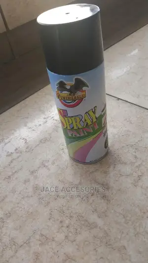 Spray Paint Power Eagle