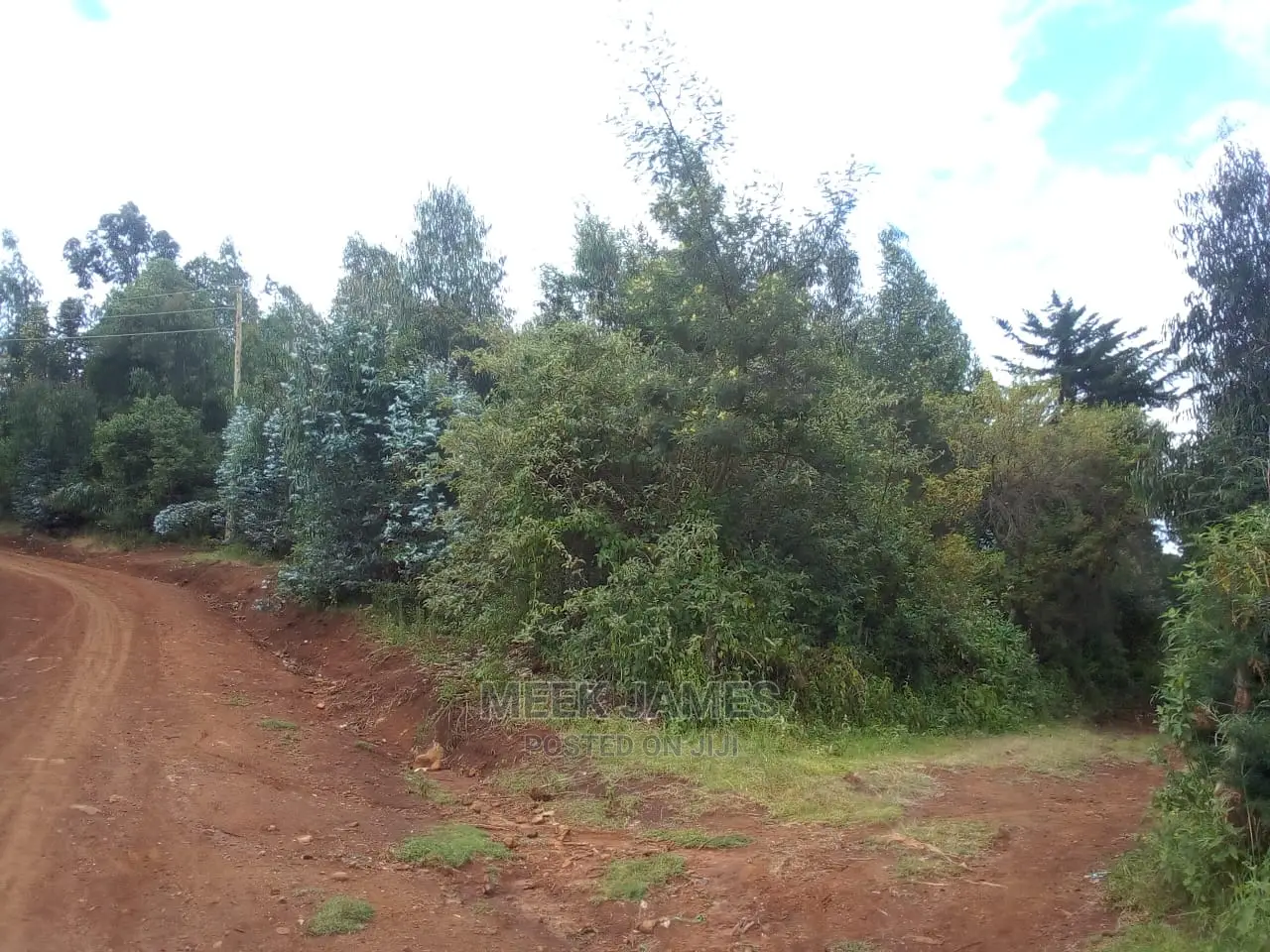 Quick Sale 2 Acres of Land