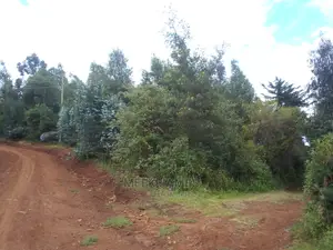 Quick Sale 2 Acres of Land
