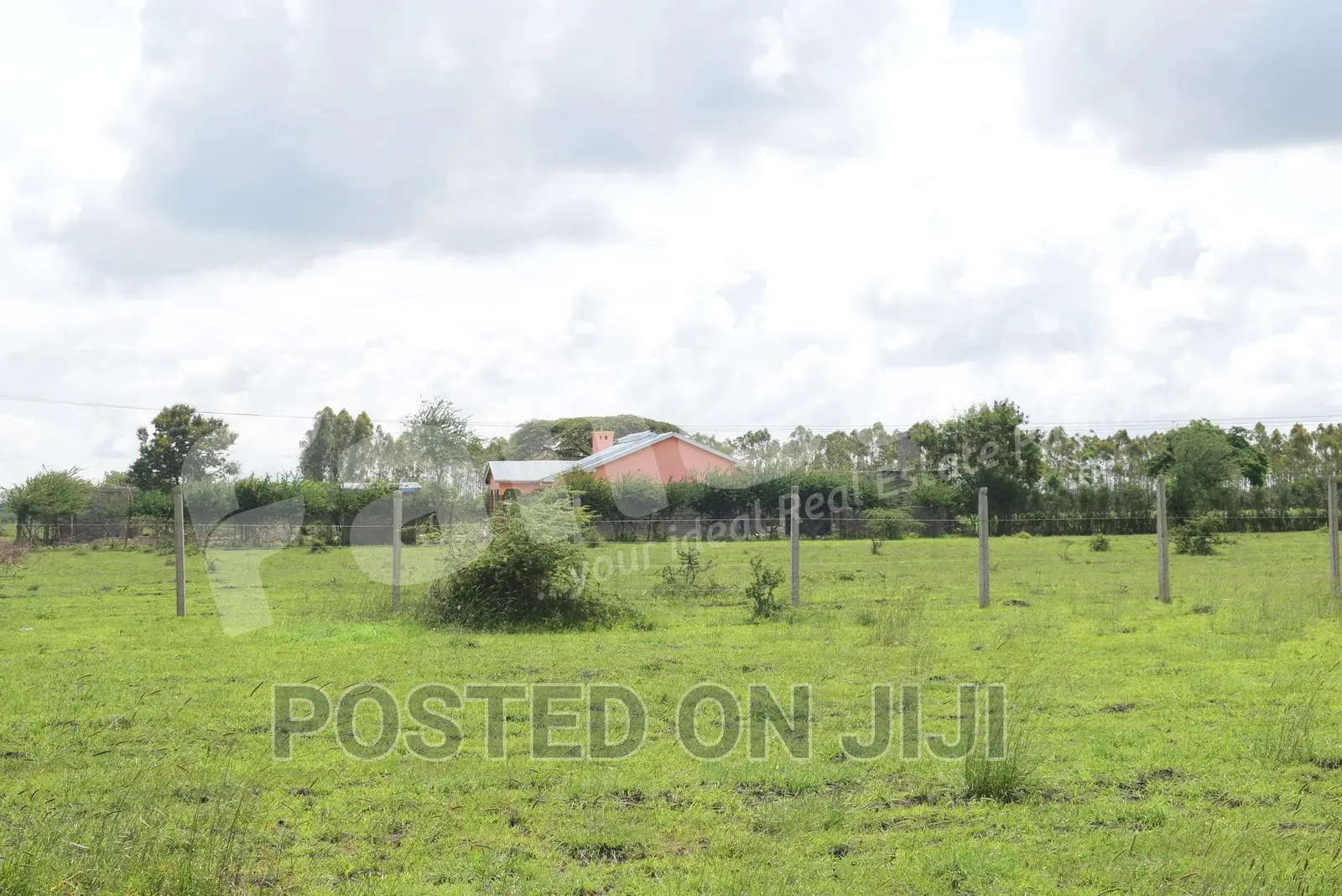 Cheapest Plots in Juja Farm - CK