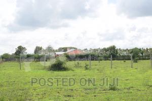 Cheapest Plots in Juja Farm - CK - thumbnail 2