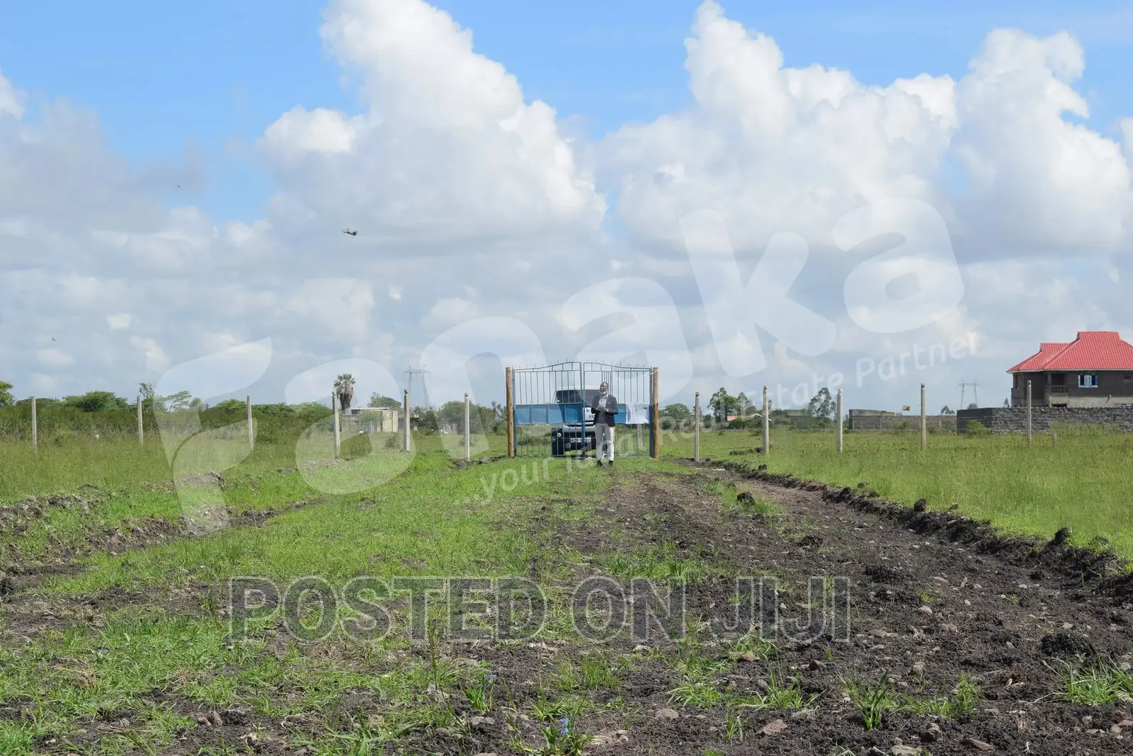 Cheapest Plots in Juja Farm - CK