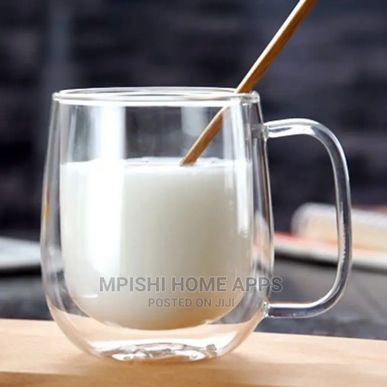 Double Wall Glass Mug