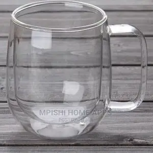 Double Wall Glass Mug