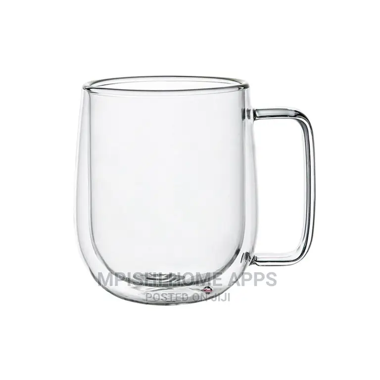 Double Wall Glass Mug