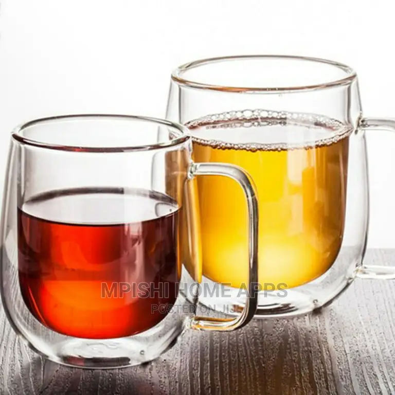 Double Wall Glass Mug