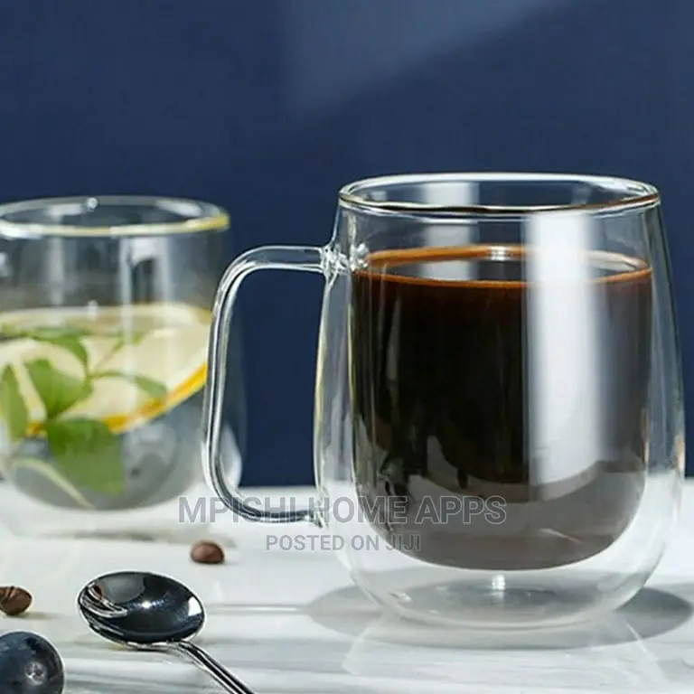 Double Wall Glass Mug