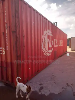 40ft HC Containers for Sale TS Make