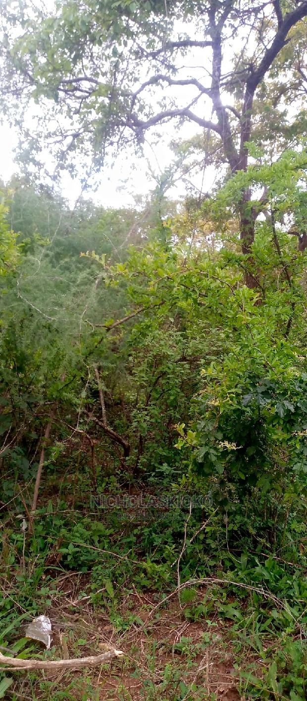 Developed Land for Settlement. - main view