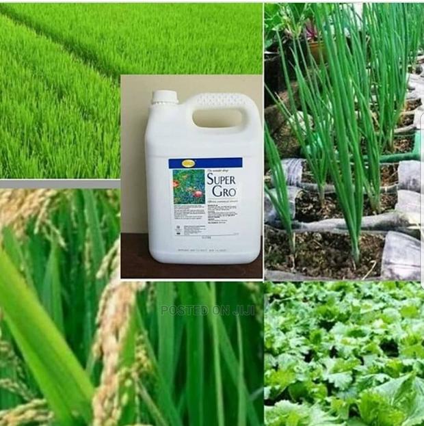 Super Gro ( Wet Agent) - main view