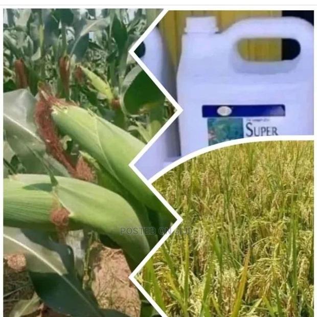 Super Gro ( Wet Agent) - thumbnail 3