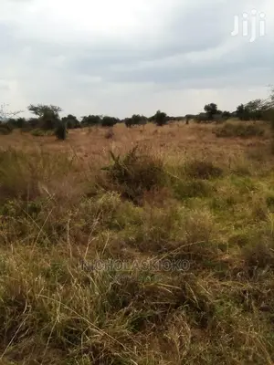 50 By 100 Malili Plots, Near Techno City.