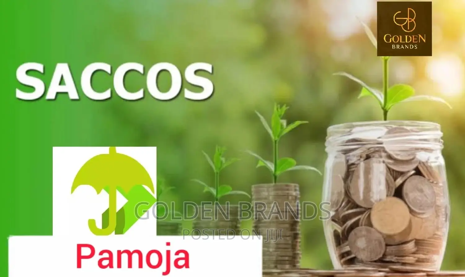Registered SACCO for Sale