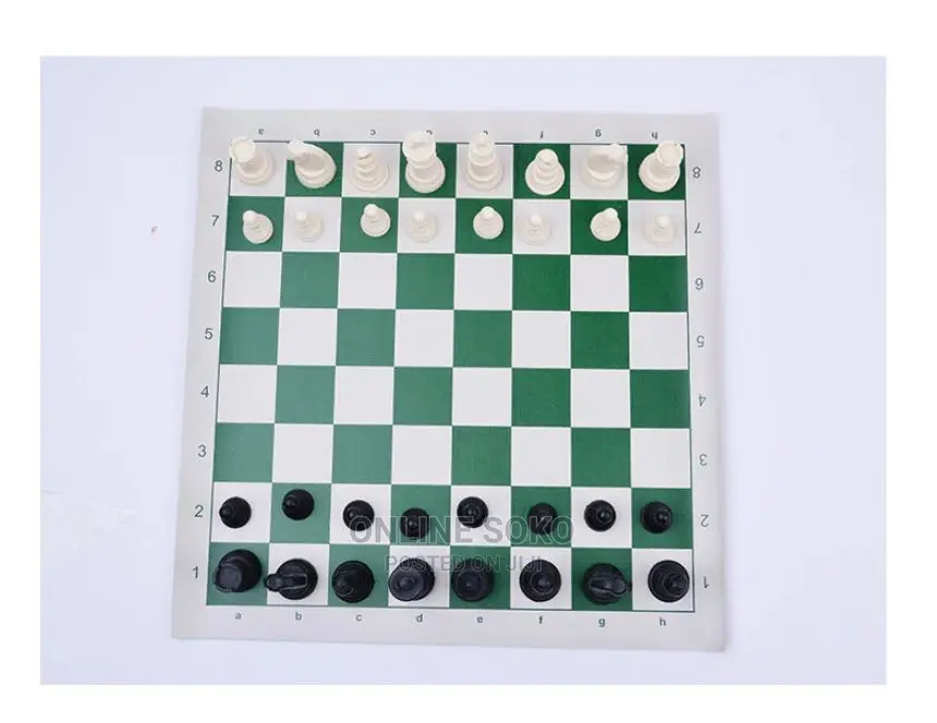 Portable Travel Outdoor Chess Game Set Educational Toy- Big