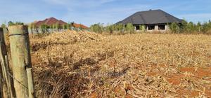 Big 1⁄4 Plot for Sale in Chepkanga Willow Tree Eldoret - thumbnail 2