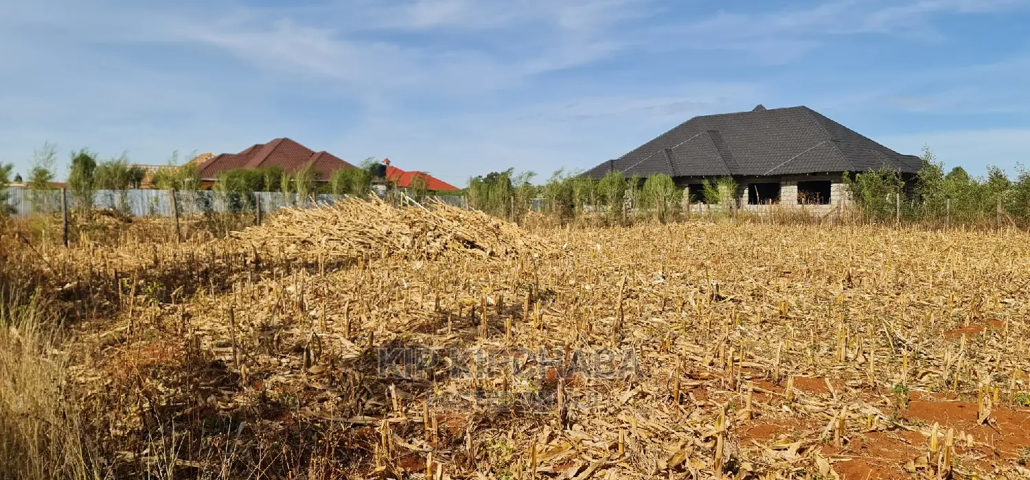 Big 1⁄4 Plot for Sale in Chepkanga Willow Tree Eldoret