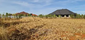Big 1⁄4 Plot for Sale in Chepkanga Willow Tree Eldoret