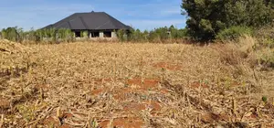 Big 1⁄4 Plot for Sale in Chepkanga Willow Tree Eldoret