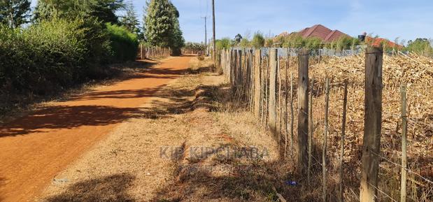 Big 1⁄4 Plot for Sale in Chepkanga Willow Tree Eldoret - thumbnail 9