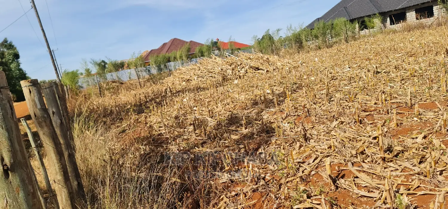 Big 1⁄4 Plot for Sale in Chepkanga Willow Tree Eldoret
