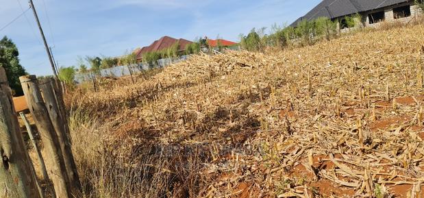 Big 1⁄4 Plot for Sale in Chepkanga Willow Tree Eldoret - thumbnail 11