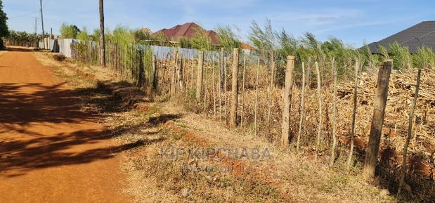 Big 1⁄4 Plot for Sale in Chepkanga Willow Tree Eldoret - thumbnail 5