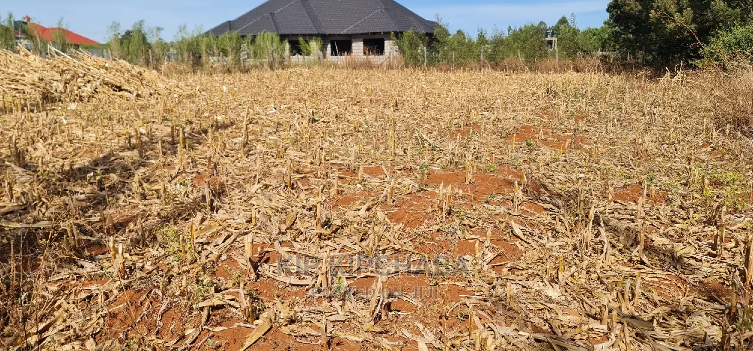 Big 1⁄4 Plot for Sale in Chepkanga Willow Tree Eldoret