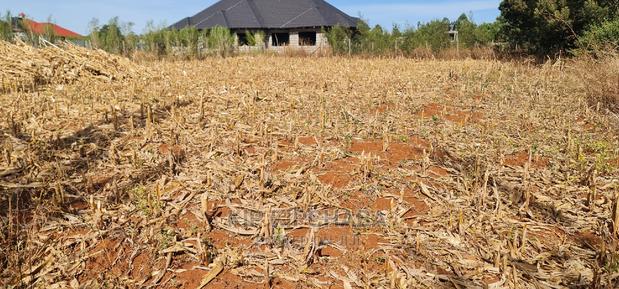 Big 1⁄4 Plot for Sale in Chepkanga Willow Tree Eldoret - thumbnail 12