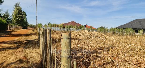 Big 1⁄4 Plot for Sale in Chepkanga Willow Tree Eldoret - thumbnail 13
