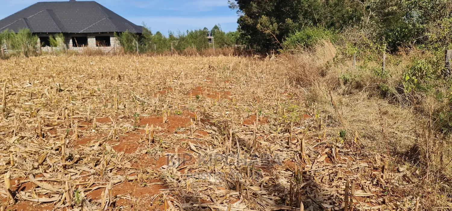 Big 1⁄4 Plot for Sale in Chepkanga Willow Tree Eldoret