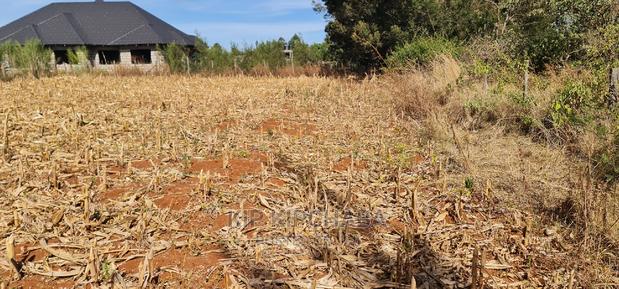 Big 1⁄4 Plot for Sale in Chepkanga Willow Tree Eldoret - thumbnail 14