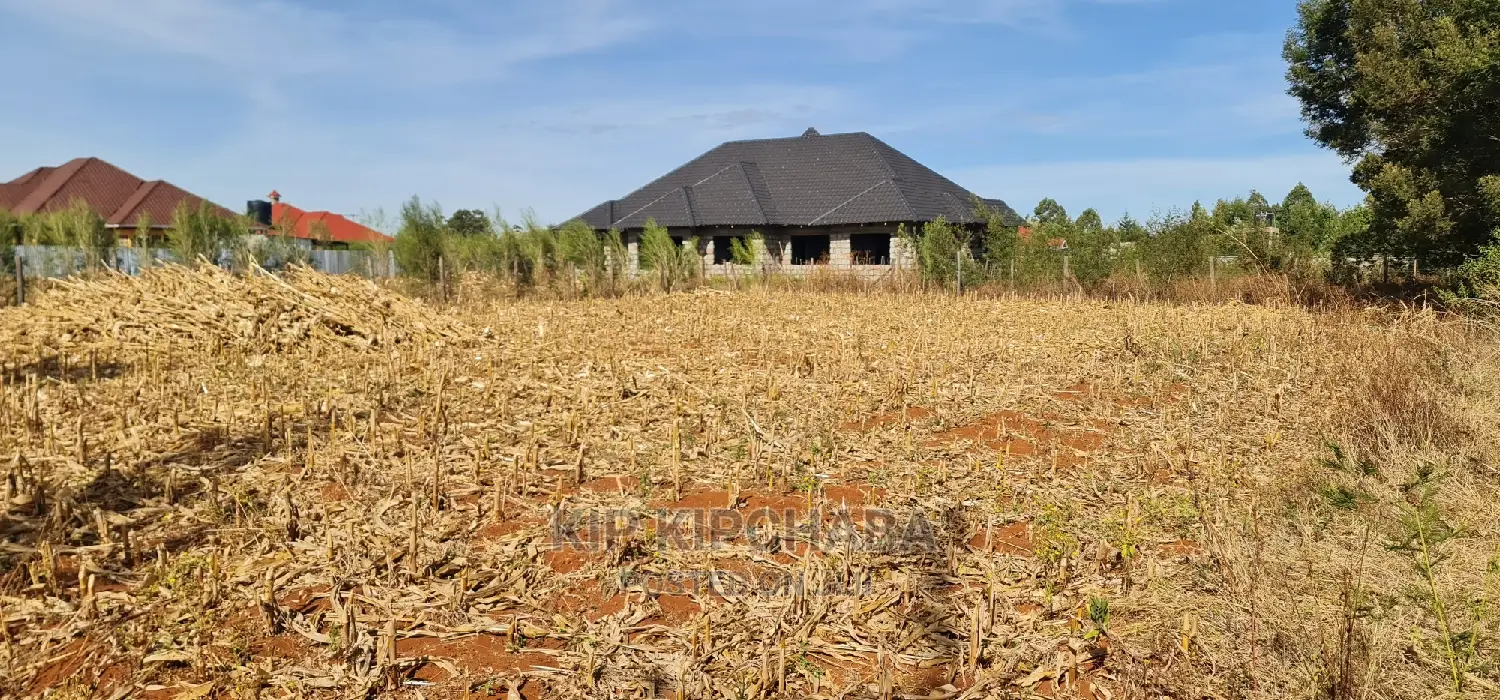 Big 1⁄4 Plot for Sale in Chepkanga Willow Tree Eldoret