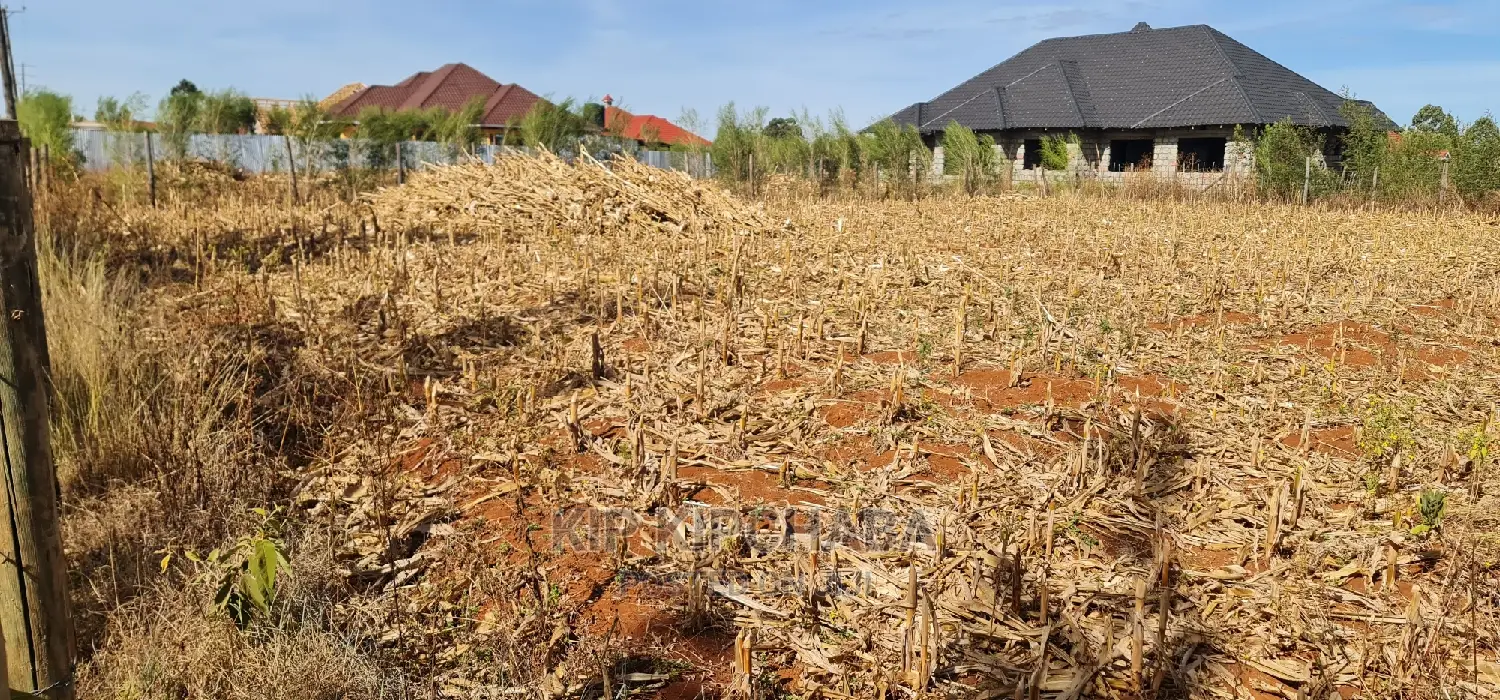 Big 1⁄4 Plot for Sale in Chepkanga Willow Tree Eldoret