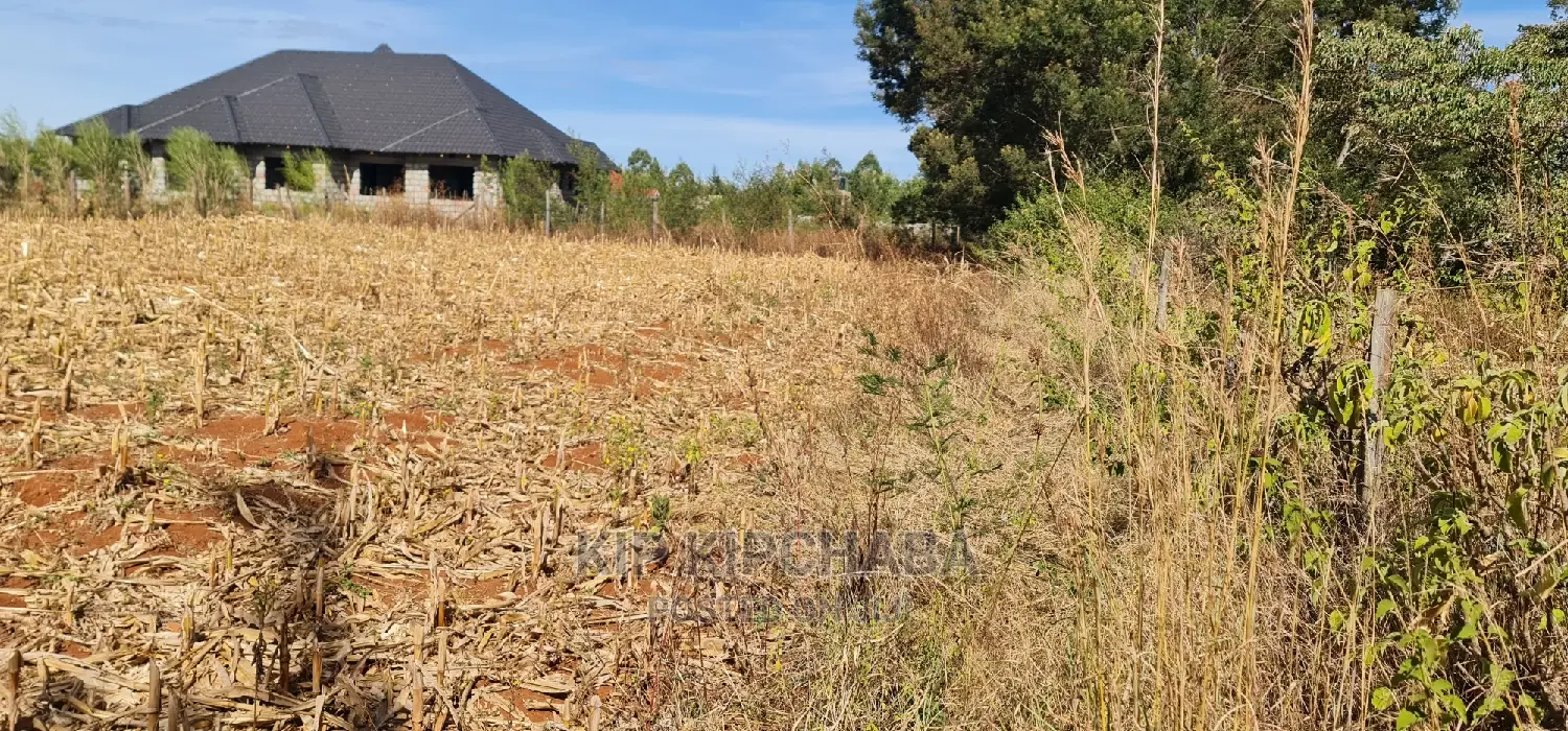 Big 1⁄4 Plot for Sale in Chepkanga Willow Tree Eldoret